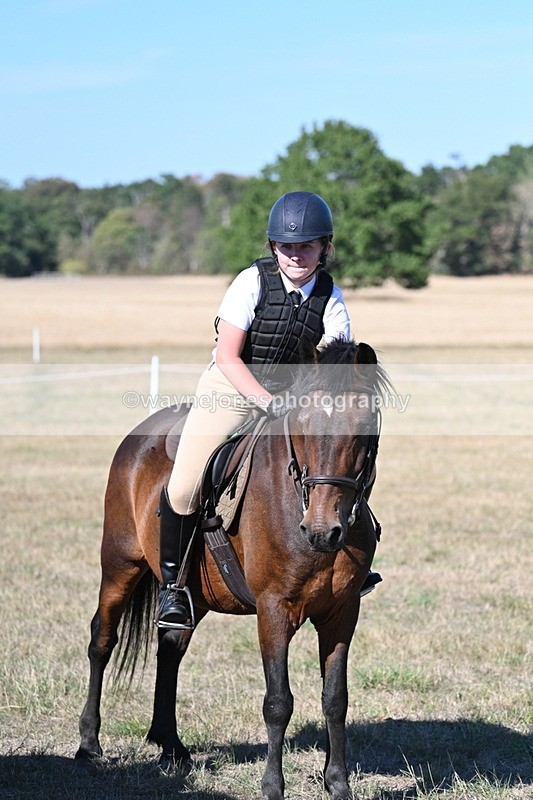 WJ7_2231 - Class 44 Child's Best Friend