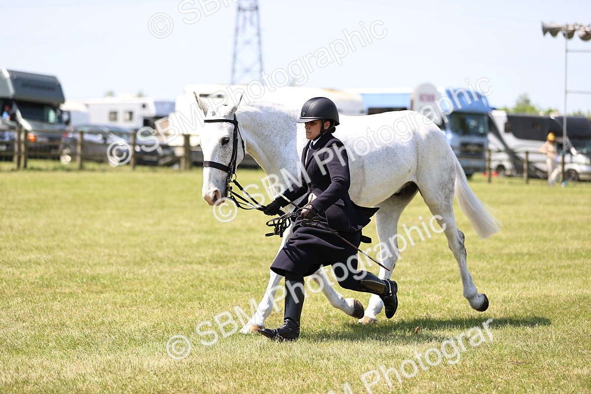 SBM_15211 - Class 79-80 - LIHS BSHA Rising Star Ridden Hunter