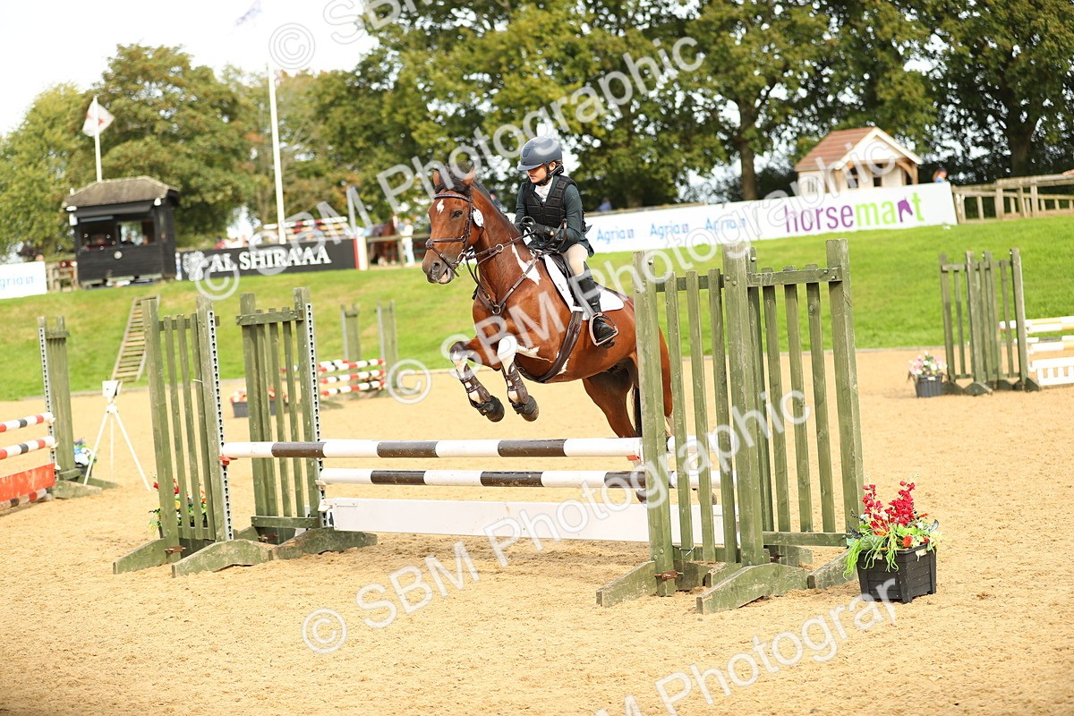 SBM_71219 - J18 - Junior Pony 85cm Championship