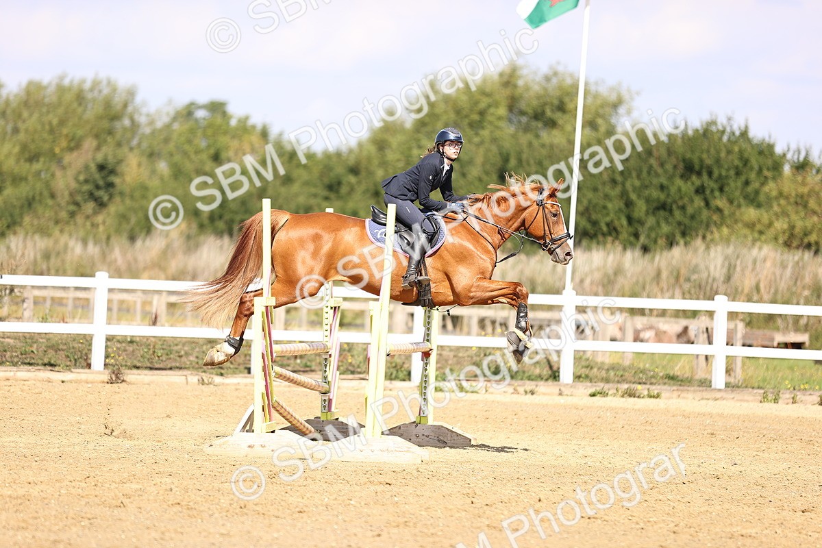 SBM_005839 - Class 9 - Senior British Novice - 90cm