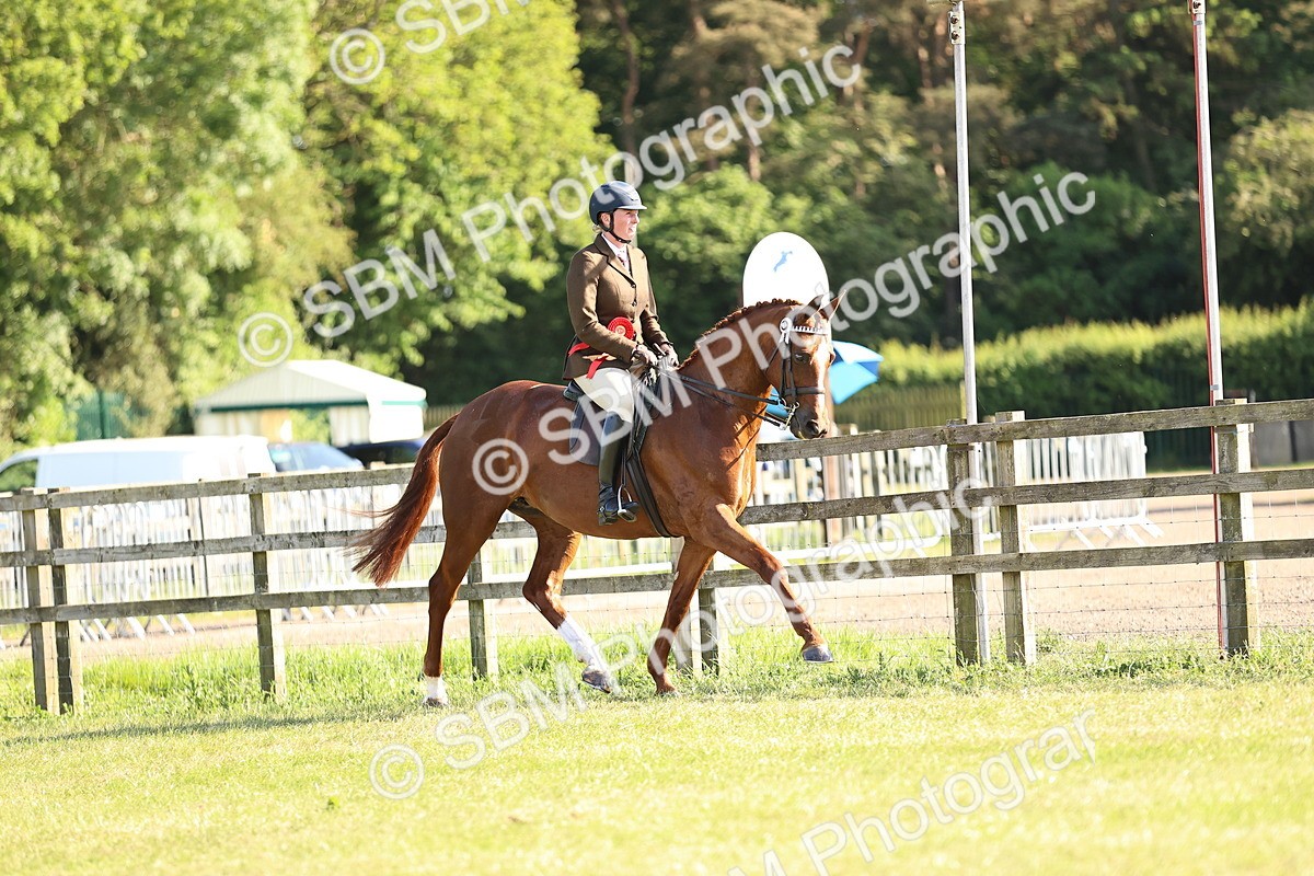 SBM_19734 - Class 87-88 - RIHS BSHA Riding Horses
