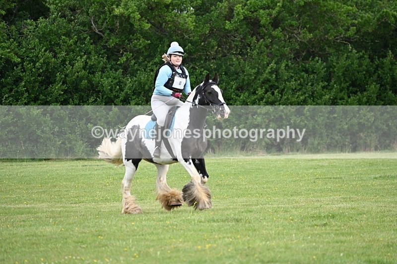 WJ6_2415 - Class 2 40cm