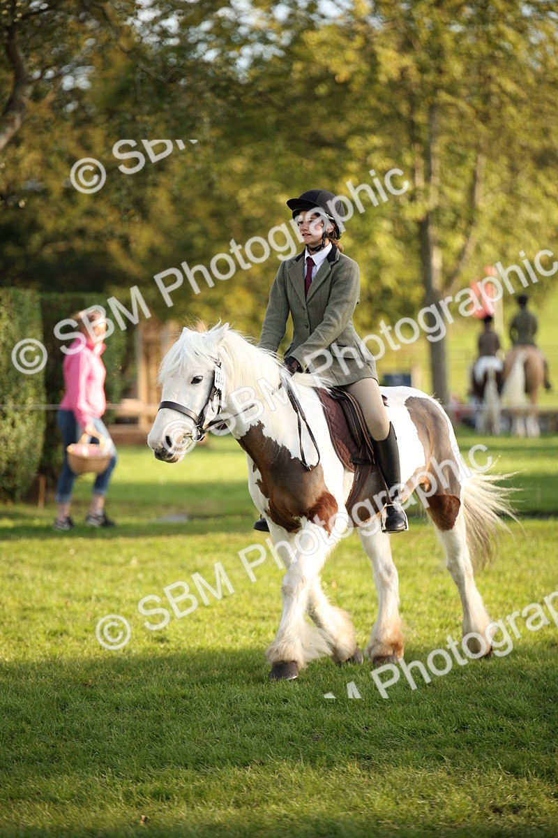 SBM_54417 - S27 - Mature Veteran - Ridden