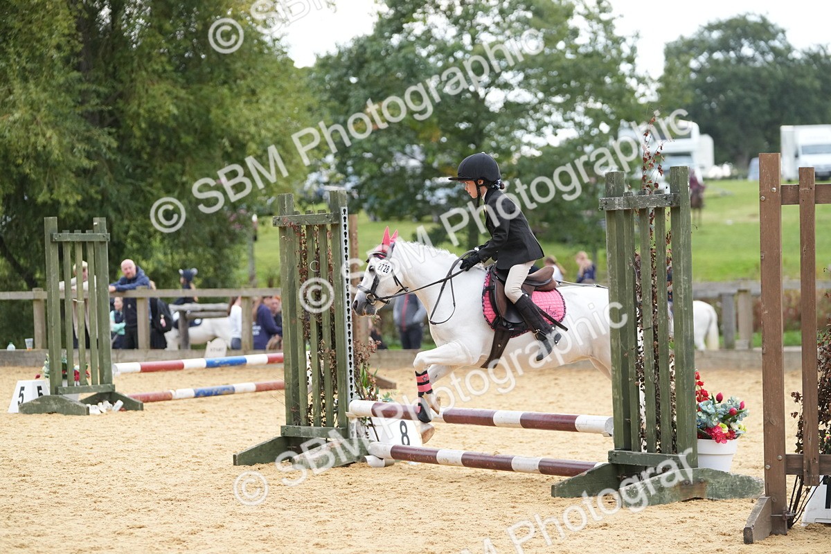 SBM_74650 - J4 - Mini Tour Junior Pony 45cm Championship