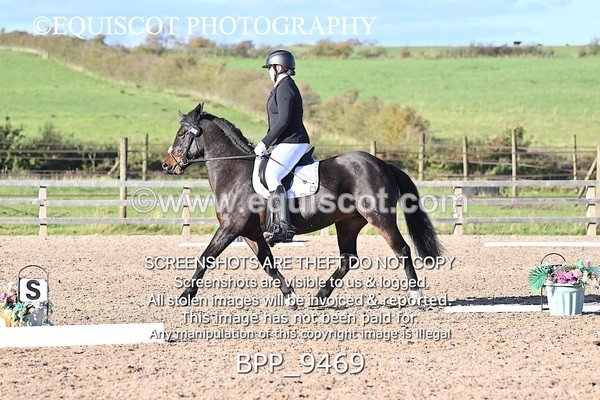 BPP_9469 - SHORT ARENA