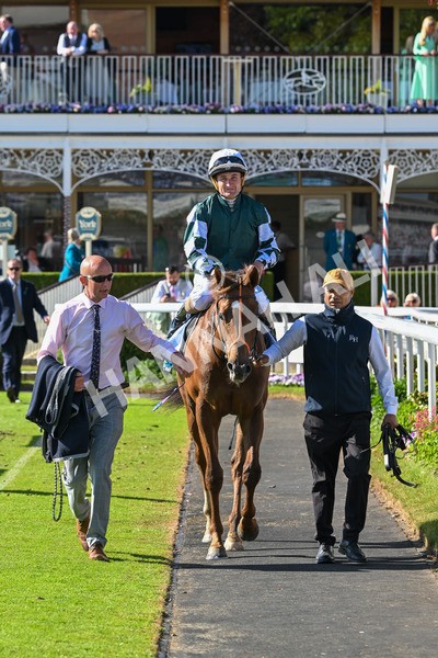 140525-Race 6-Ballistic Missile-2914 - Race 6 4.55pm British Stallion Studs EBF Novice Stakes