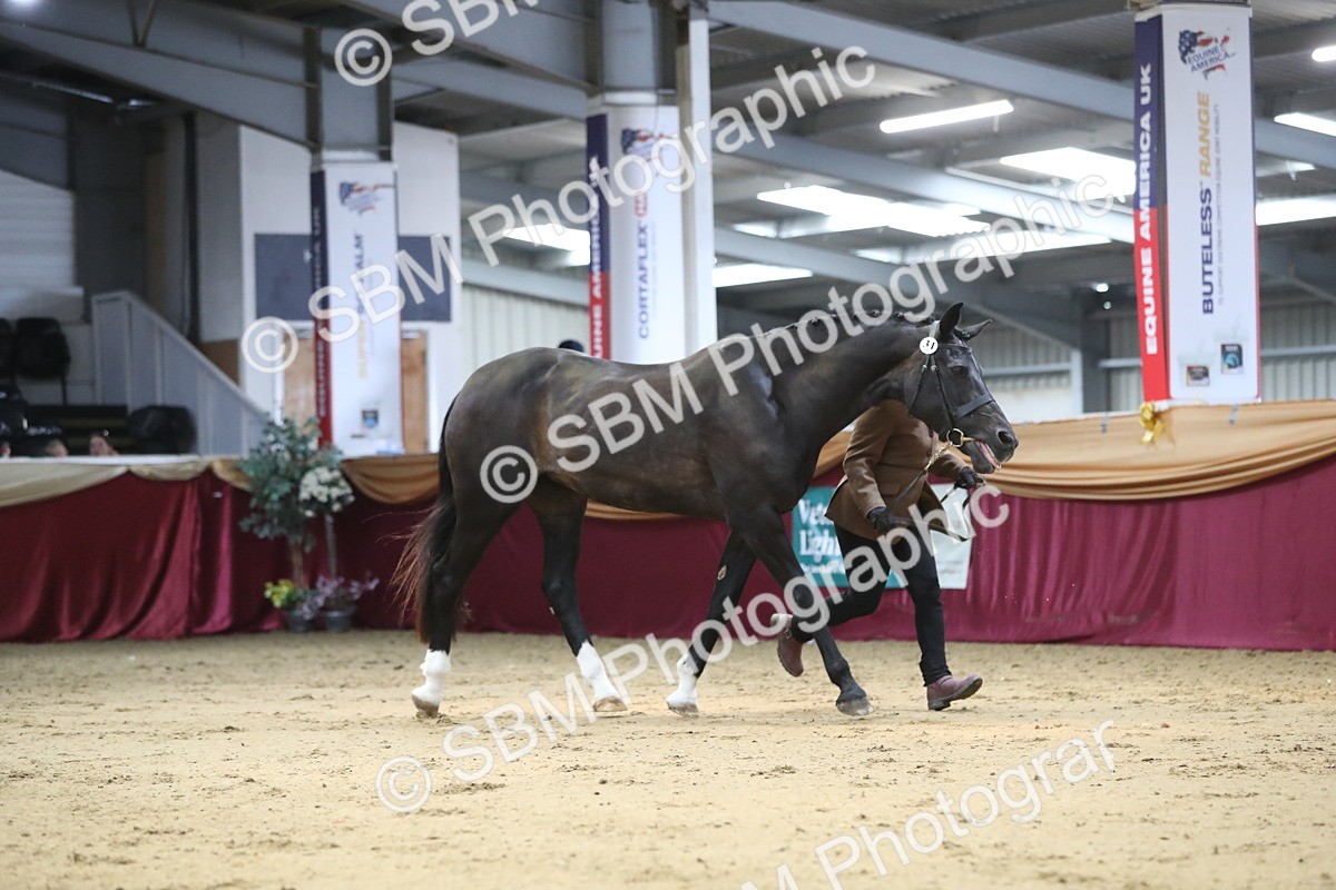 SBM_04400 - Class 7R Regional - IH Diamond