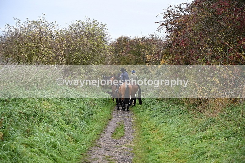 WJ6_9435 - Ride