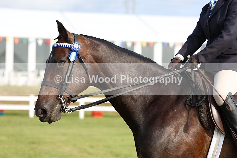 3E7A7769 - Class 1: Rising Star Small Hack/Riding Horses