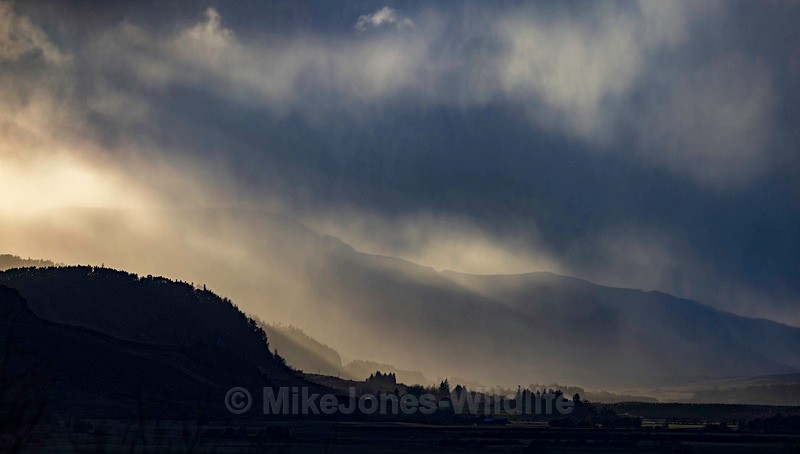 CAIRNGORM LANDSCAPE 2025 11 - Latest projects, Cairngorms Deer, Boxing Hares, Landscapes...North Wales, Birds