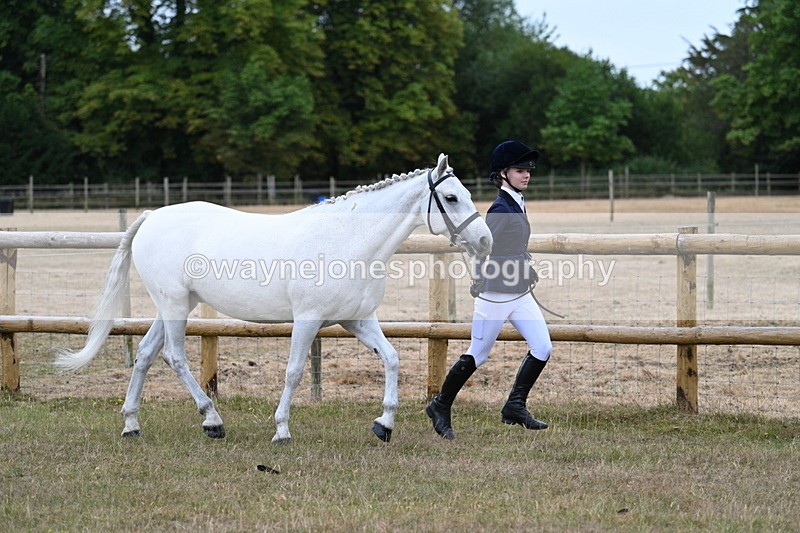 WJ7_8808 - Class 4a Prettiest Mare 14.2hh and over