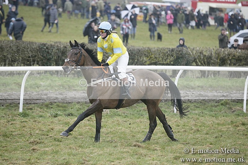 PtP 020418 -343 - Old Berks Point-to-Point Races Easter Monday 02/04/18