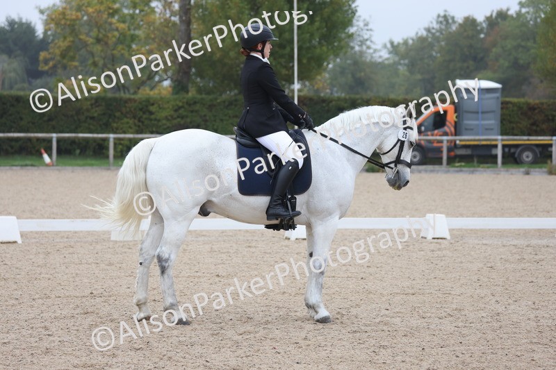 20251012-0506 - Class 4 - Novice 6