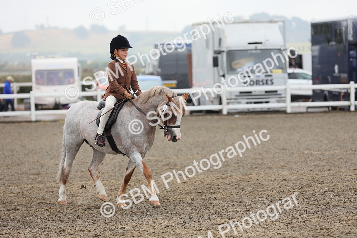 SBM_21818 - Class 806 - Young ridder 10 Yr & Under