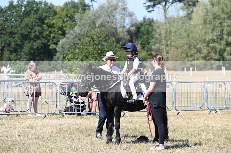 WJ6_8441 - Class 37a Best Loan Pony Ridden