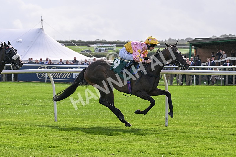 080926-Race 3-Battenburg Belle-2299 - Race 3 3.03pm Fifth Regiment Royal Artillery Handicap (Div I)