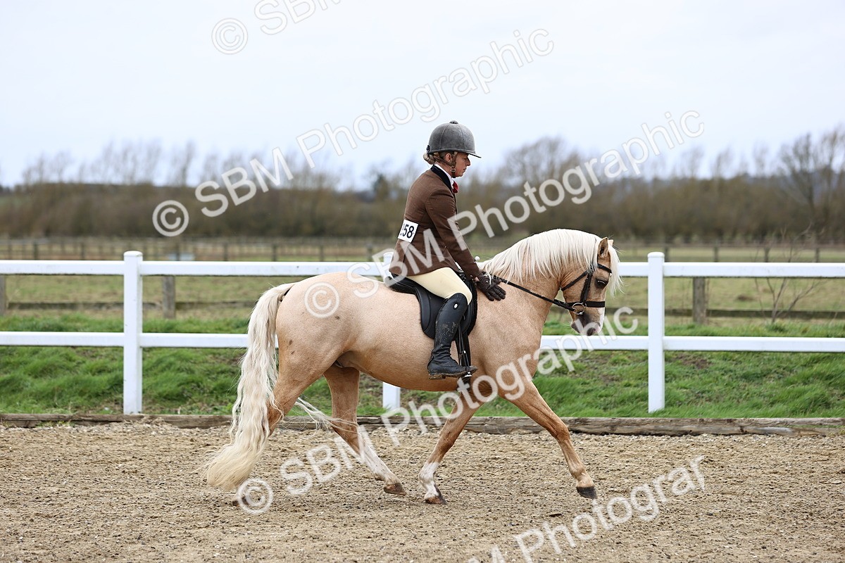 SBM_006749 - Class 29 - 30 - M&M Pure Novice Small-Large Breeds