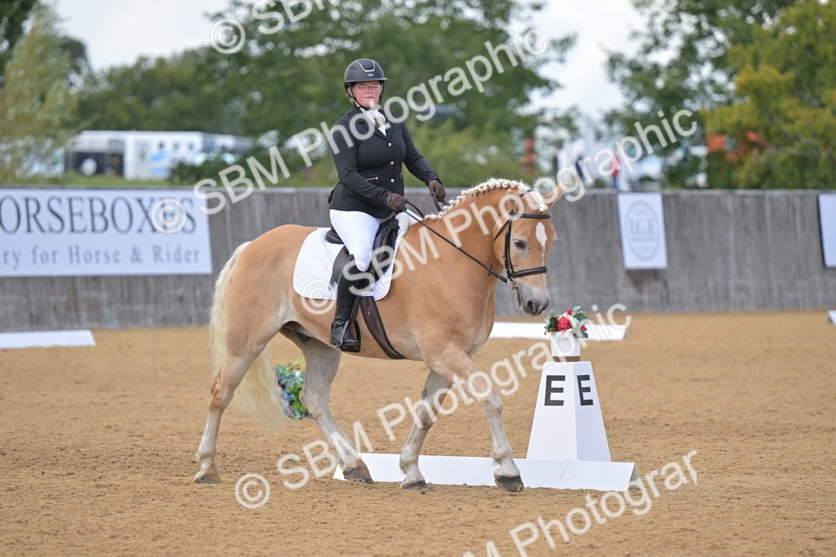 SBM_11137 - D3 - Small Tour Championship Intro 3