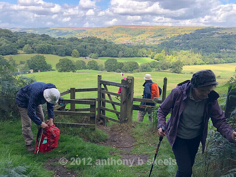 65 After lunch in Bewerly the climb to Strikes Wood - The Nidderdale Way Collection