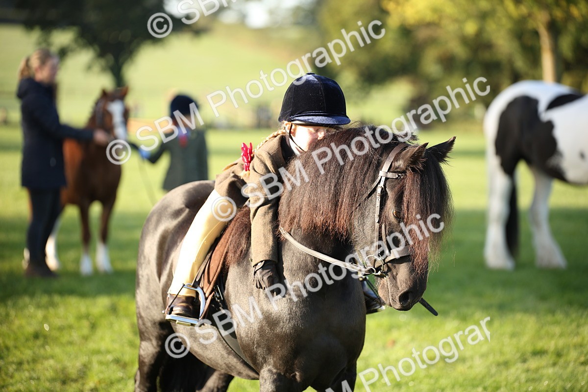 SBM_32365 - S8 - Best Turned Out