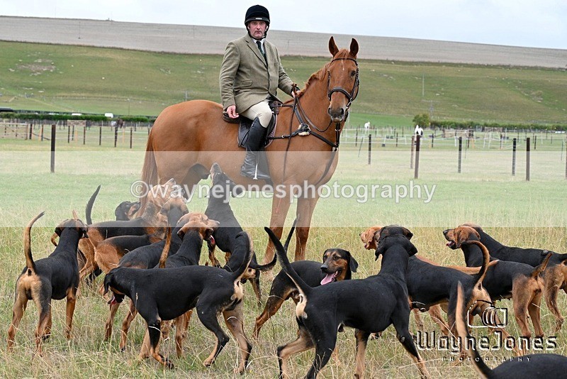 WJ7_0698 - Berks & Bucks Hound Exercise Blewbury 13-09-26