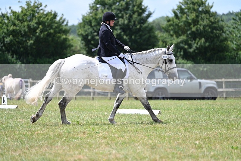 WJ7_4950 - Time 11:22 to 11:51