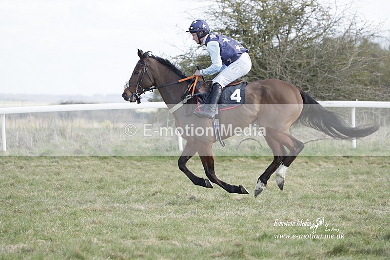 PtP 260223 581 - South & West Wilts Point-to-Point Larkhill 26/02/23