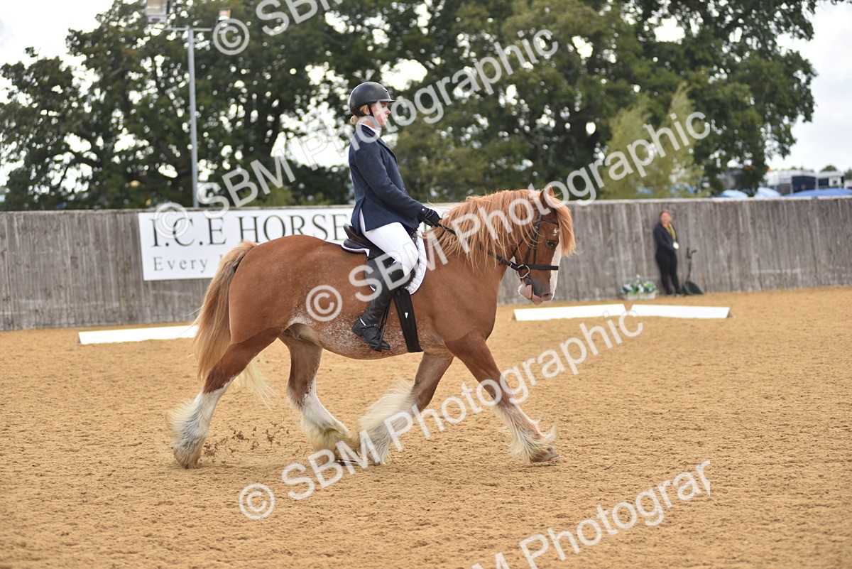 SBM_29618 - D16 -Small Tour Championship Novice 2