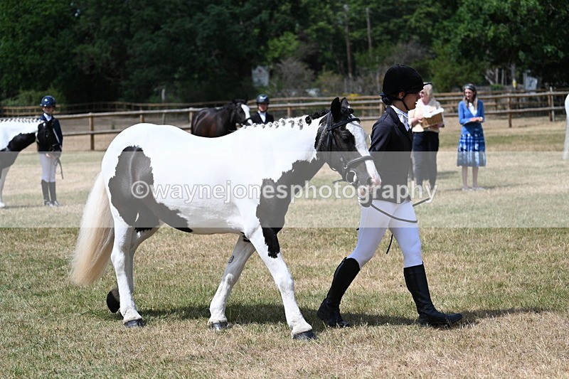 WJ7_1733 - Class 4 Prettiest Mare up to 14.2hh in hand