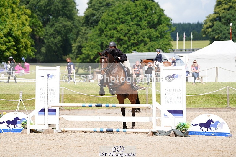 250615A-101842-10071 - Class 43 British Novice 90cm Open