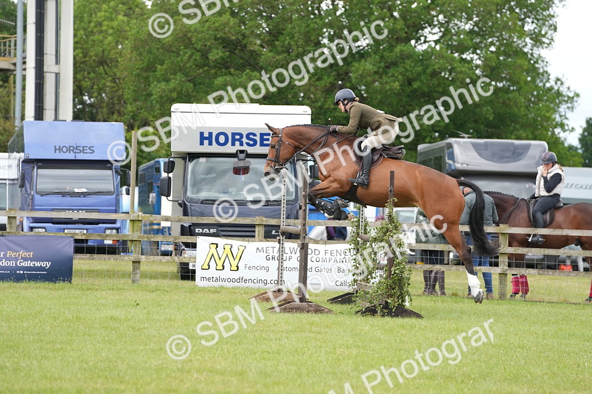 SBM_14962 - Class 100-102 - RIHS Working Hunter