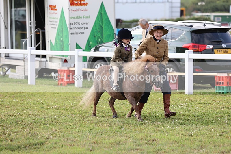 JPP_0214 - Class 14: Cornish Combination Leading Rein