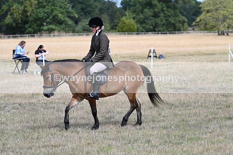 WJ7_6017 - Class 13 Ridden Veterans