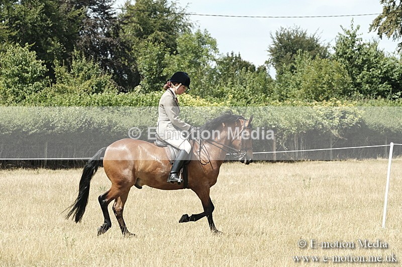 _PJP5967 - BVRC Show 2018 Ring 1