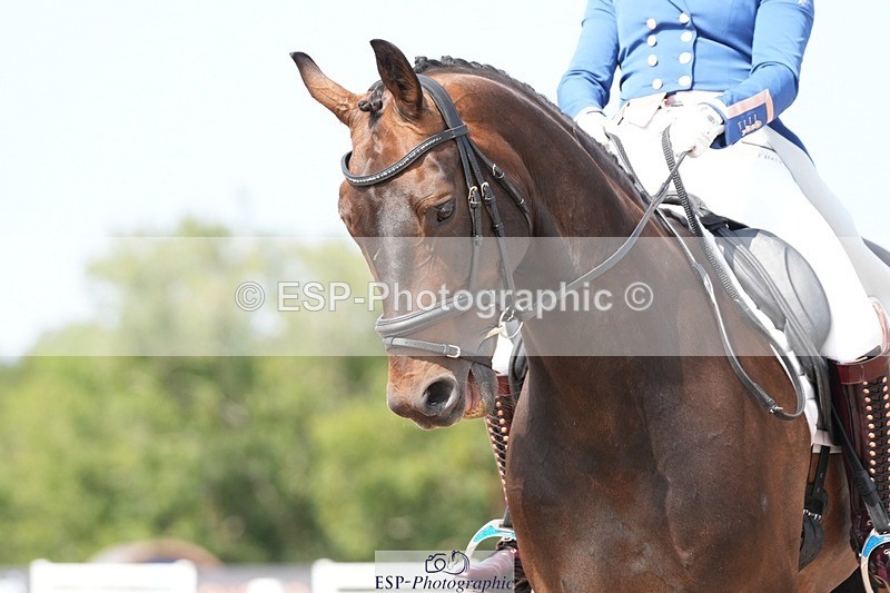 250815-142025-01672 - 020-Florence.HumanFulgencio