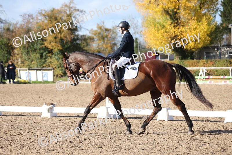 20251102-1010 - Class 5 - Elementary 5