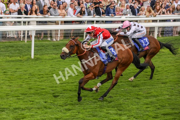 270724-Race 1-Night On Earth-4616 - Race 1 2.05pm Sky Bet 'Jump Jockeys' Nunthorpe' Handicap
