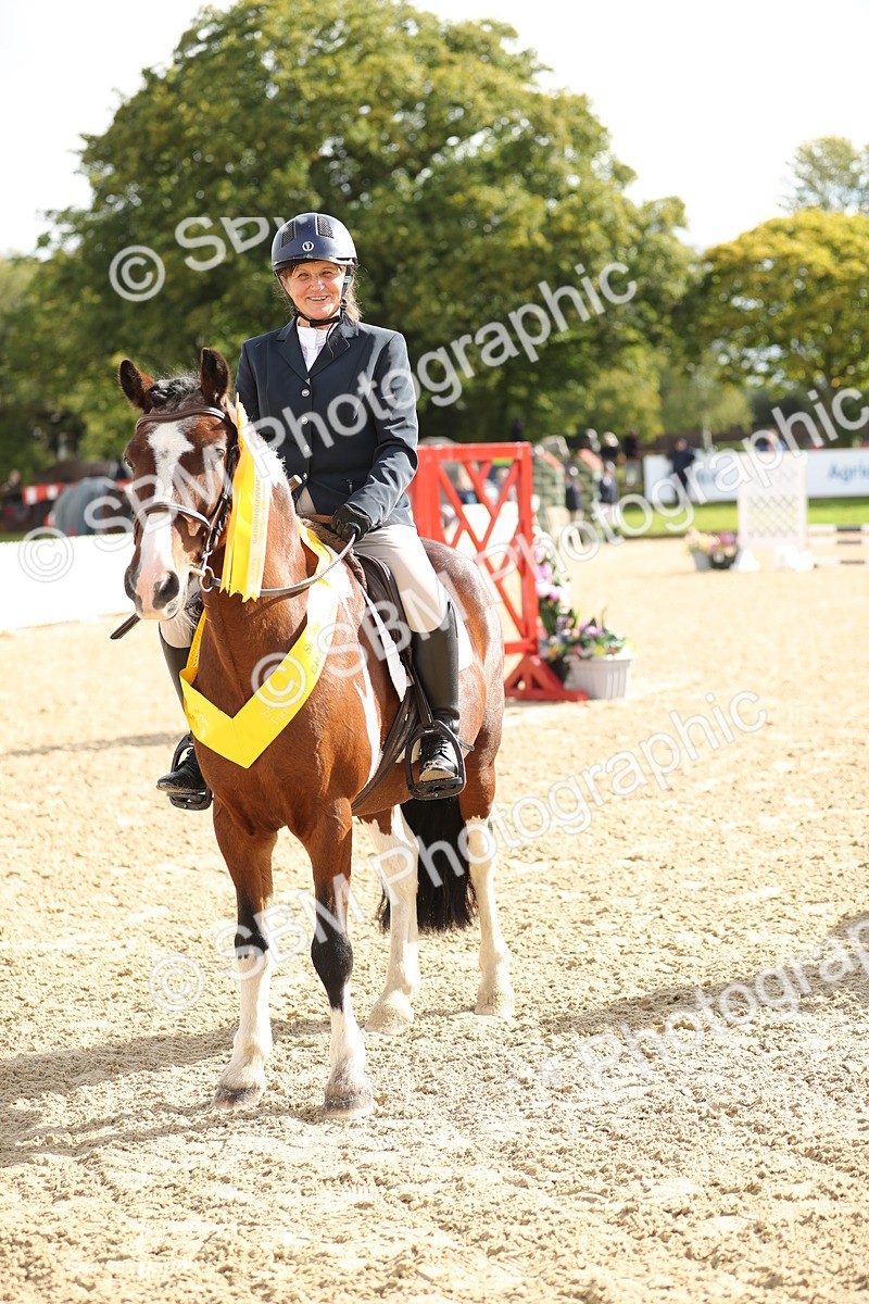 SBM_02040 - J34 - Veteran Rider 50cm