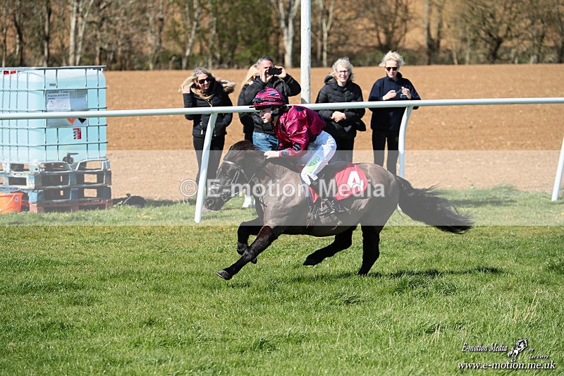 Shet 060426 195 - Shetland Pony Racing Paxford Races Easter Mon 06/04/26