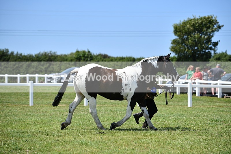 DSC_7807 - Class 64: Coloured Pony 4yrs & over