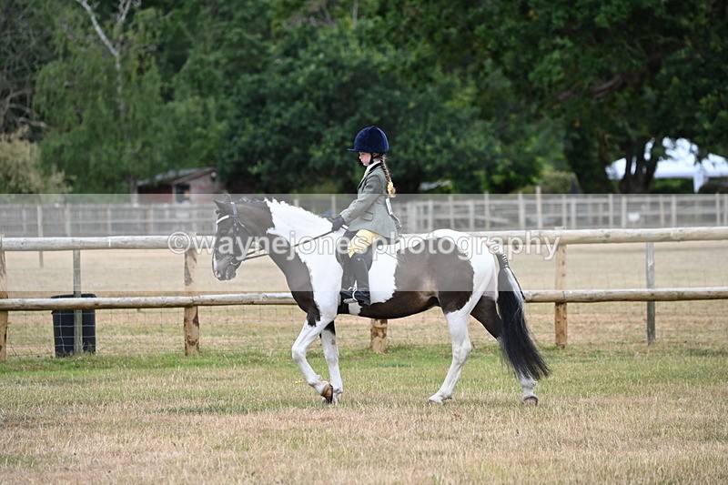 WJ6_3786 - Class 9 Tack & Turnout