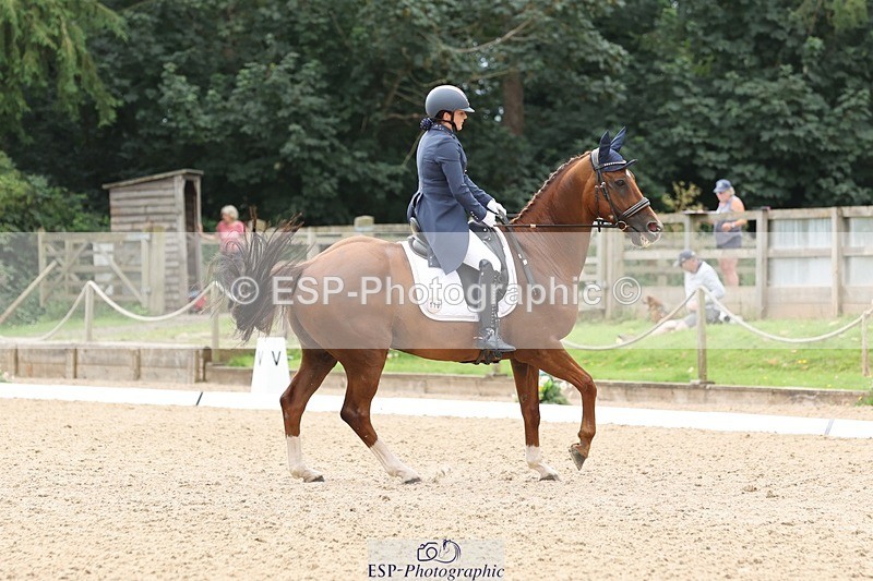 240810-140504-03433 - 110-Helen.Kitto-Da.Vinci.IV