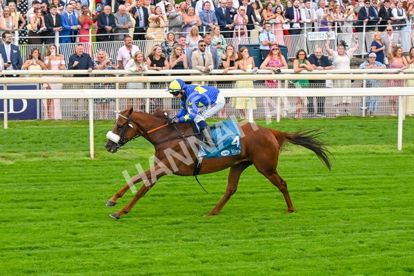 250725-Race 2-Rock N Roll Pinkie-5494 - Race 2 6.03pm Elevator Company Handicap