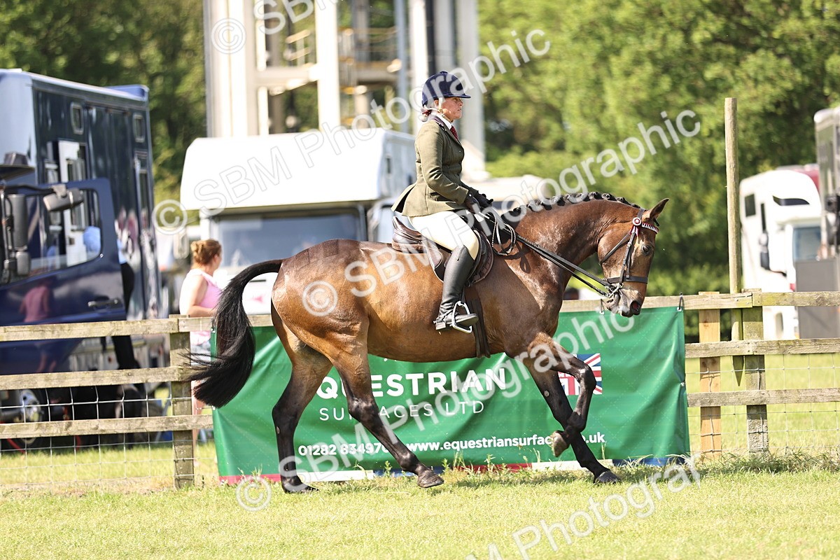 SBM_12995 - Class 75-76 LIHS BSHA Rising Star Hack Riding Horse