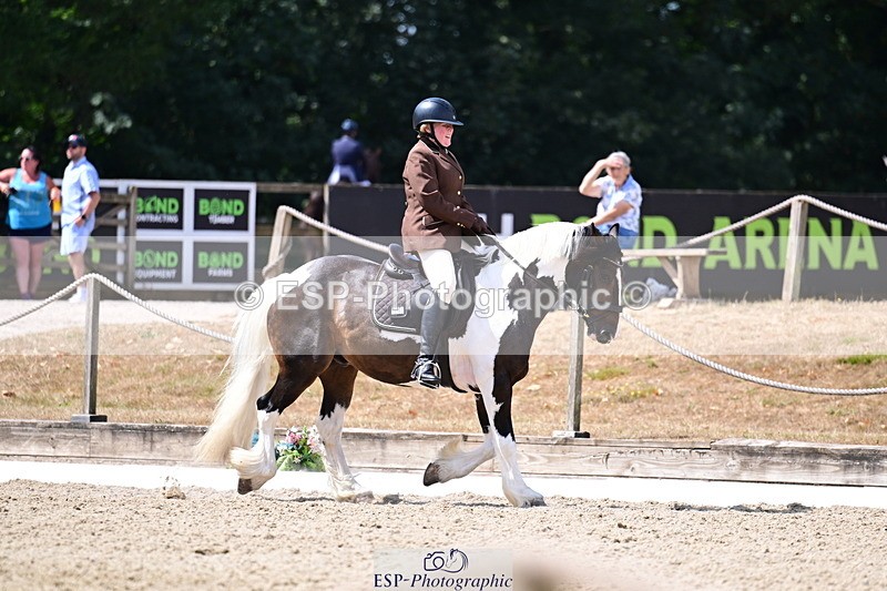 260802A-115153-06460 - Novice Bronze break - end