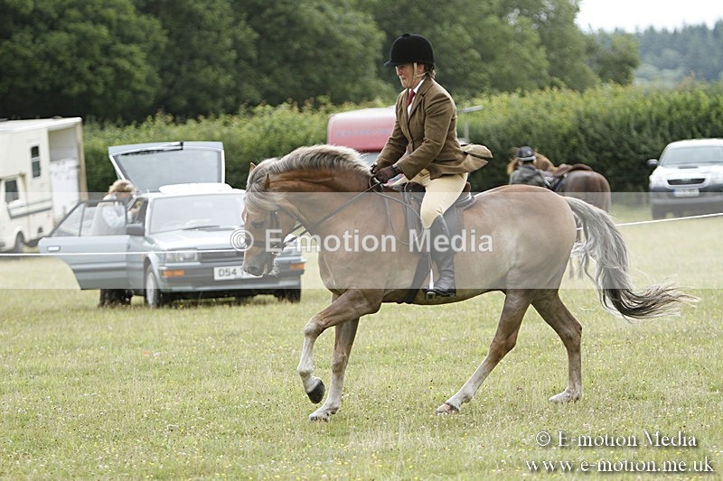 BVR160717-411 - Ring 3 BVRC Show 16/07/17