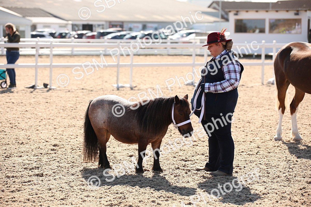 SBM_02733 - Class 16 IH M&M Wildcard