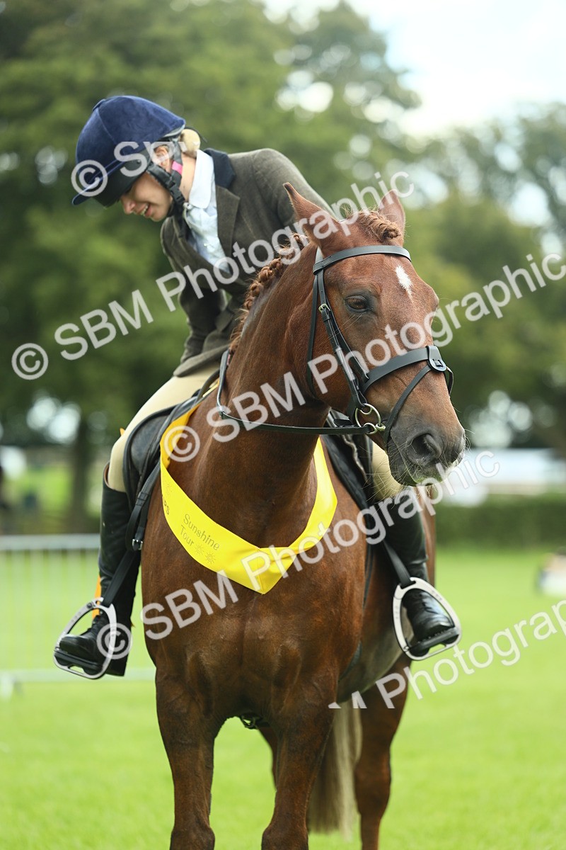 SBM_42188 - S29 - Novice & Newcomers Working Hunter Pony