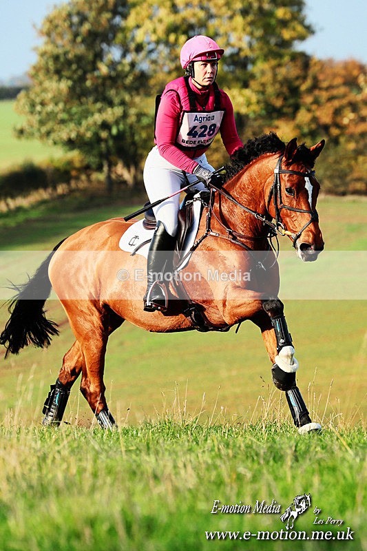 BESXC191025 71b - Equestrian