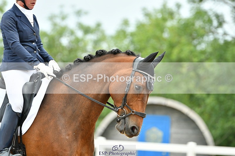 230701A-113619-04984 - Cls 9 Music Elementary